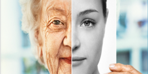 Read more about the article FASCIA AND AGING