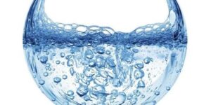 Read more about the article Fascia and Stasis Part II